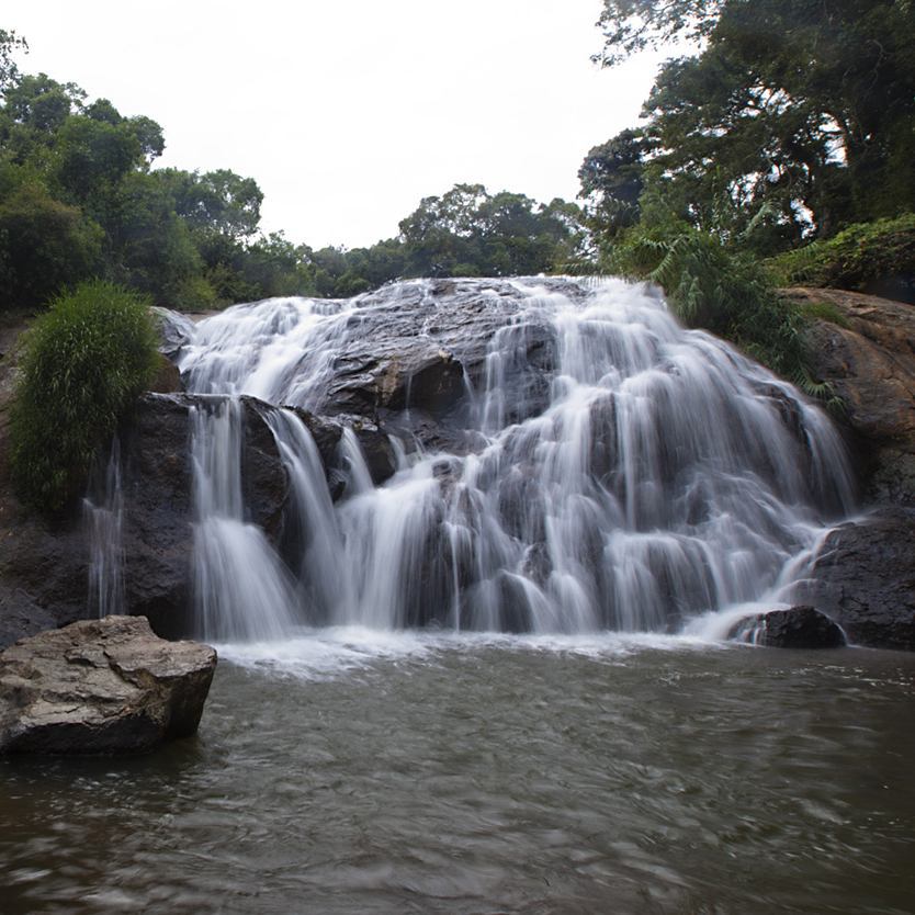 Catherine Falls evergreen forests nine falls water falls highest waterfall south india niagara falls
