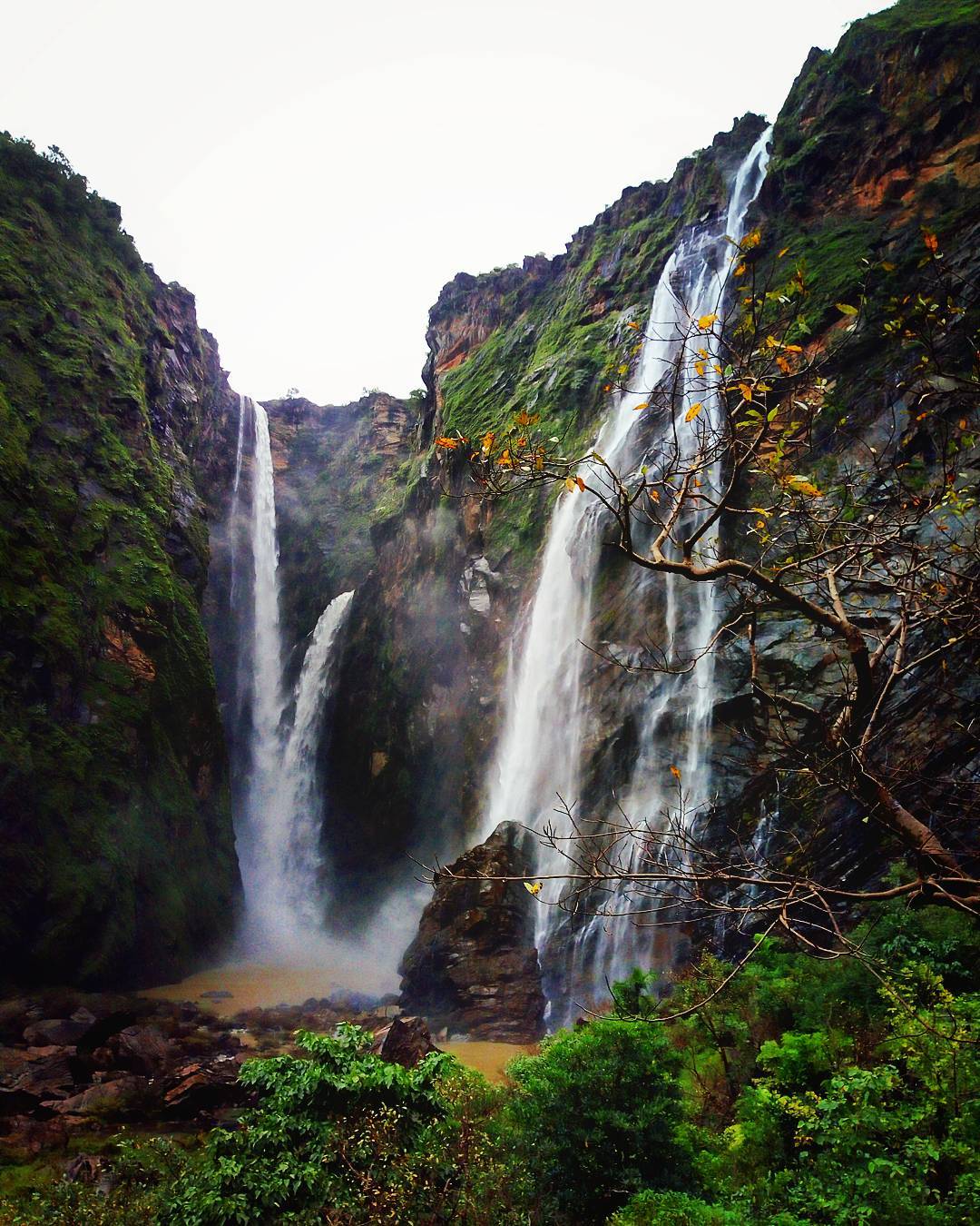 which-is-the-highest-waterfall-in-india-know-all-details