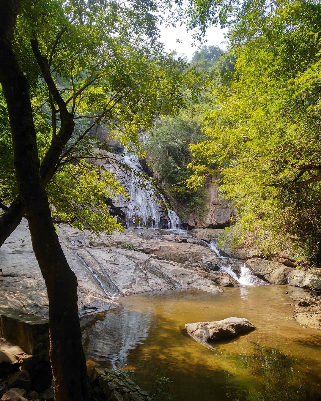 Monkey Waterfalls