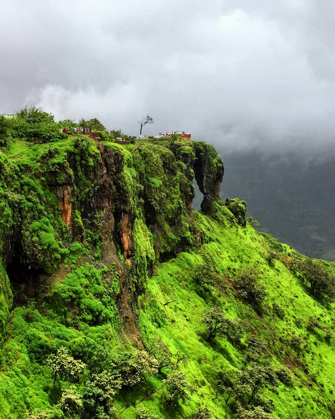 hill-stations-in-maharashtra-to-enjoy-the-natural-beauty