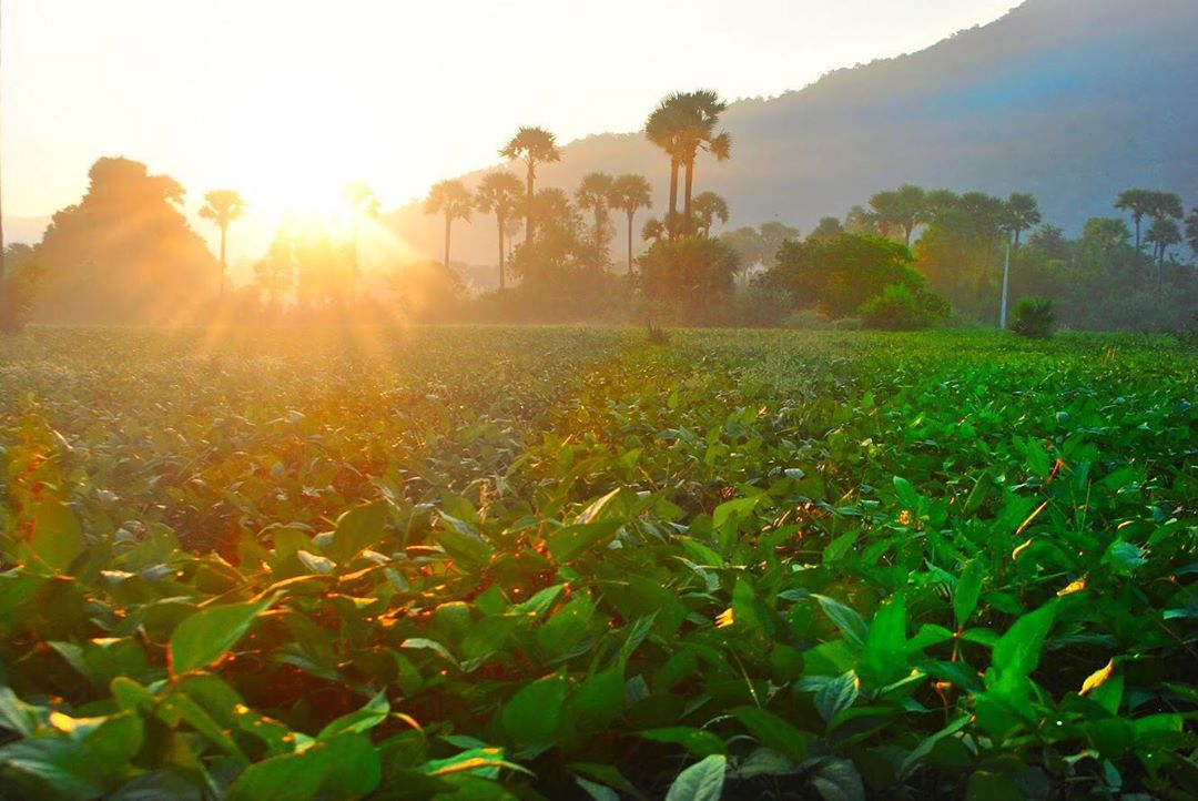 More About Andhra Pradesh