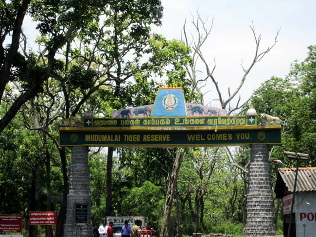 Madumalai National Park famous places