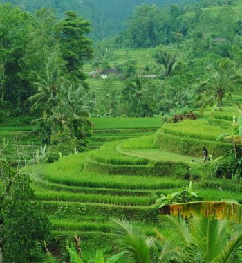 hill station in south India