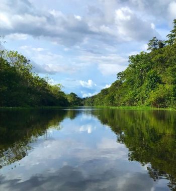 longest river in world