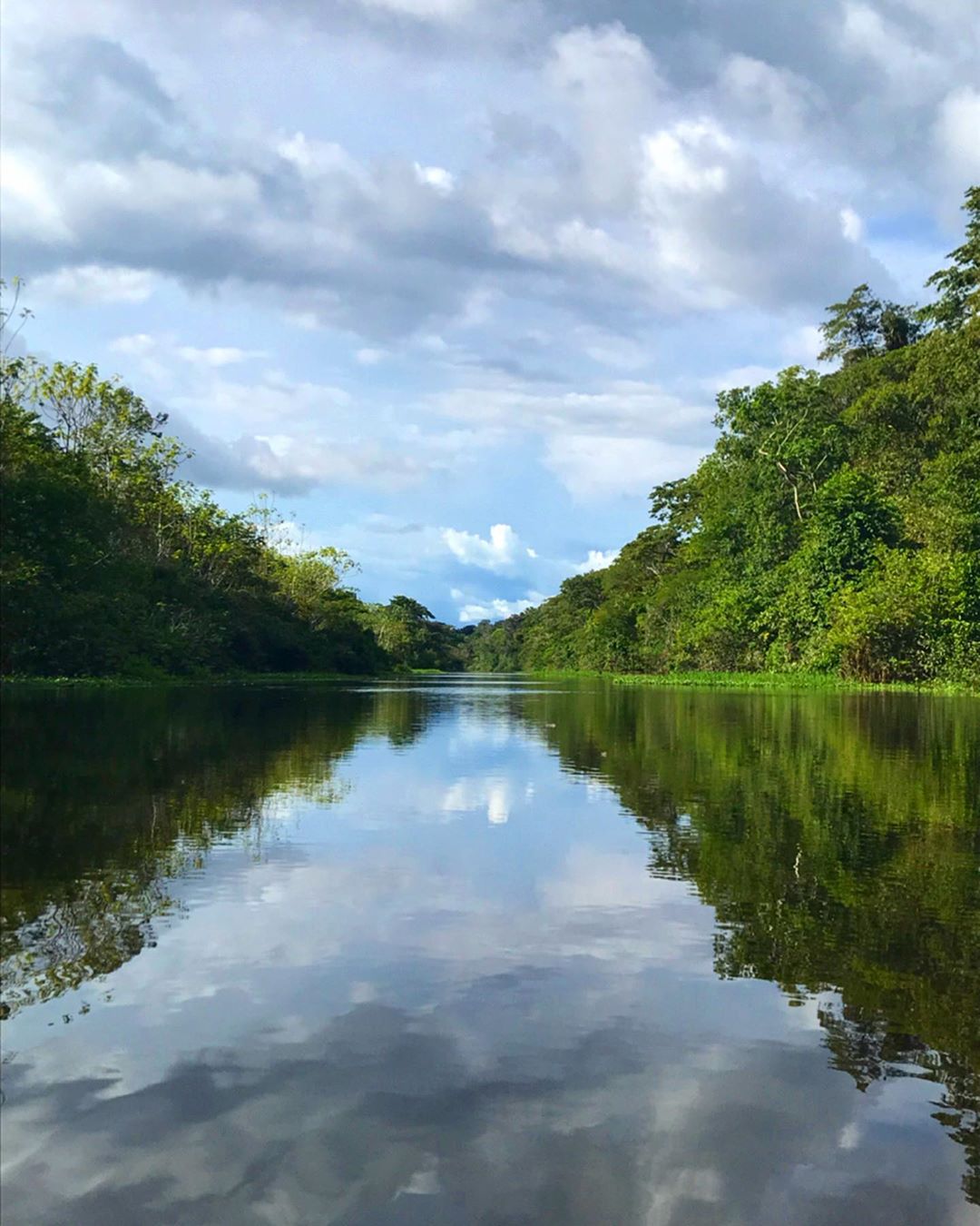 What Is The Longest River In The World? A Comprehensive Exploration