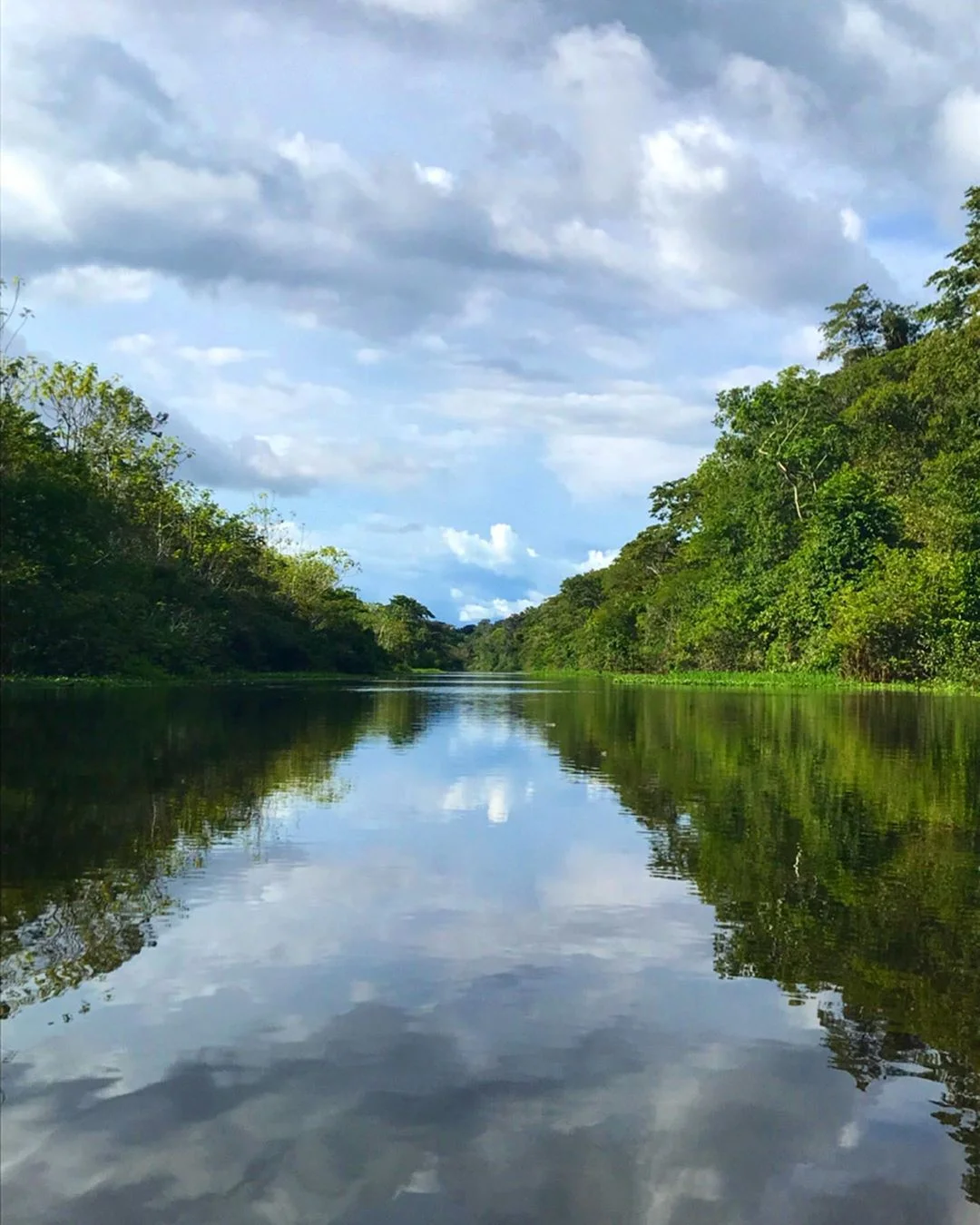 longest river in world