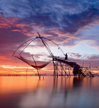 things to do in kochi