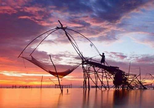 things to do in kochi
