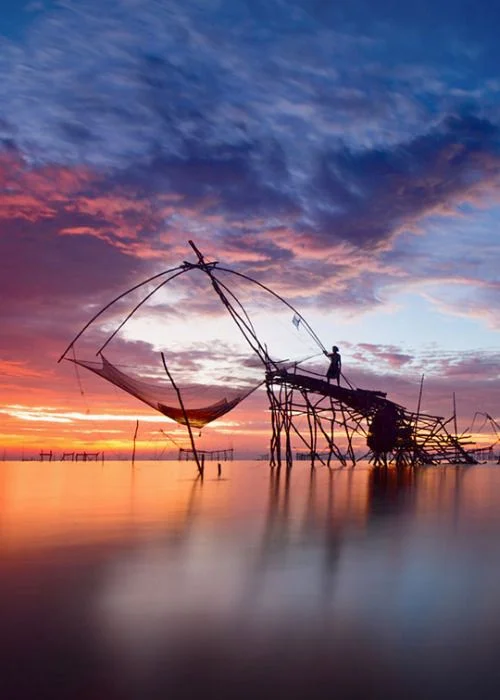 things to do in kochi