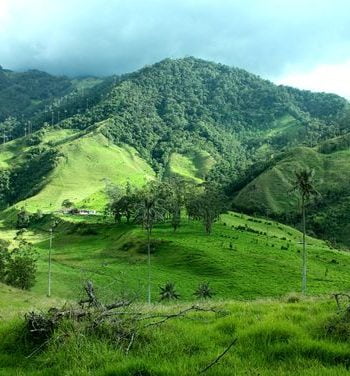 Best Time To Visit Igatpuri