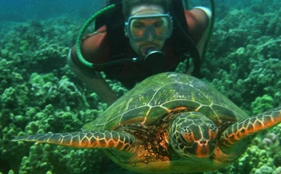 Things To Do In Pondicherry