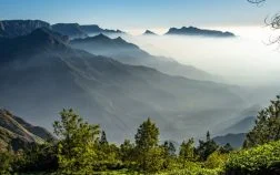 Best Time To Visit Kerala