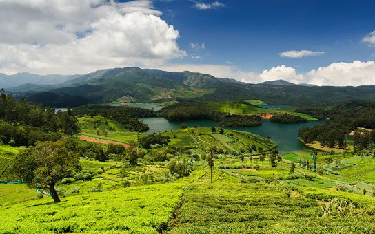 The Best time to visit Ooty