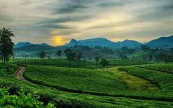best time to visit Ooty