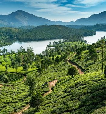 the best time to visit Munnar