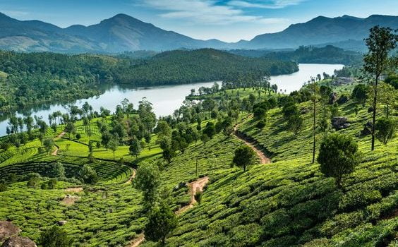 the best time to visit Munnar
