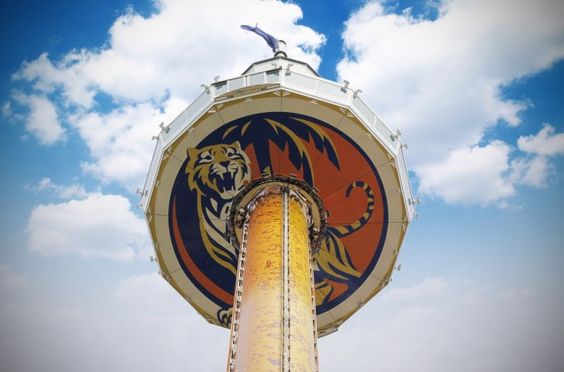 tiger sky tower