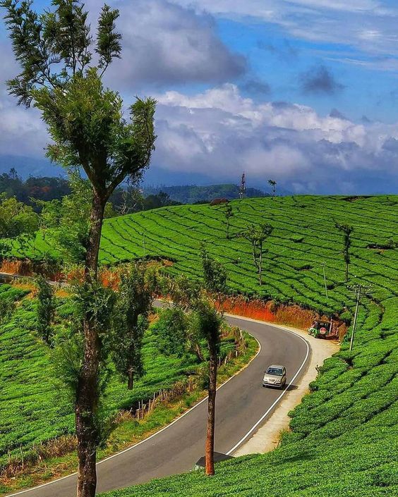 Coonoor