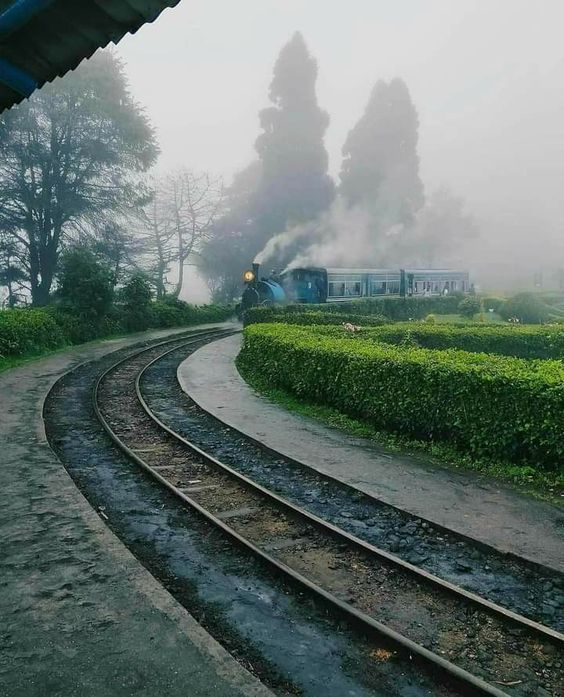 Darjeeling