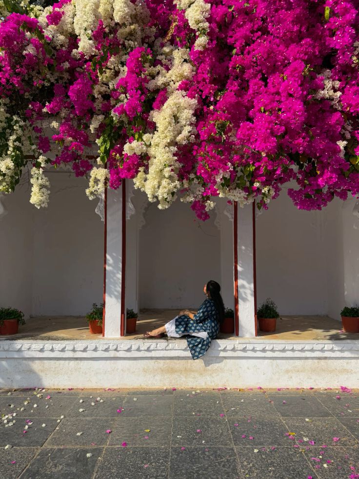 Udaipur In Spring